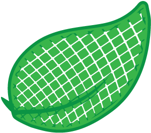 hoja logo sole